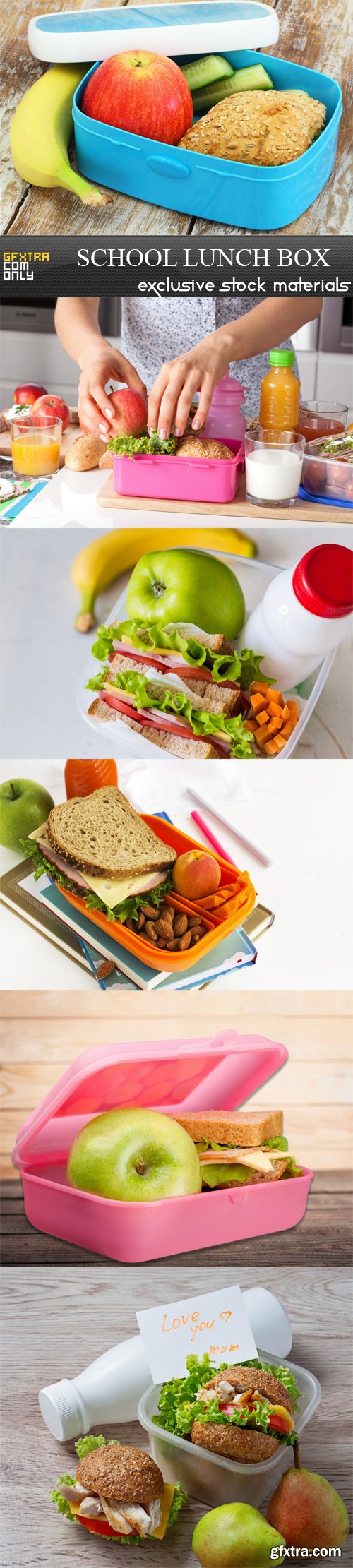 School lunch box - 6 UHQ JPEG