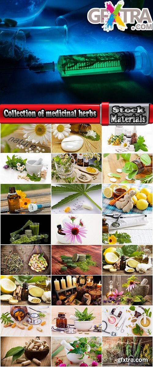 Collection of medicinal herbs oil pill tablet 25 HQ Jpeg