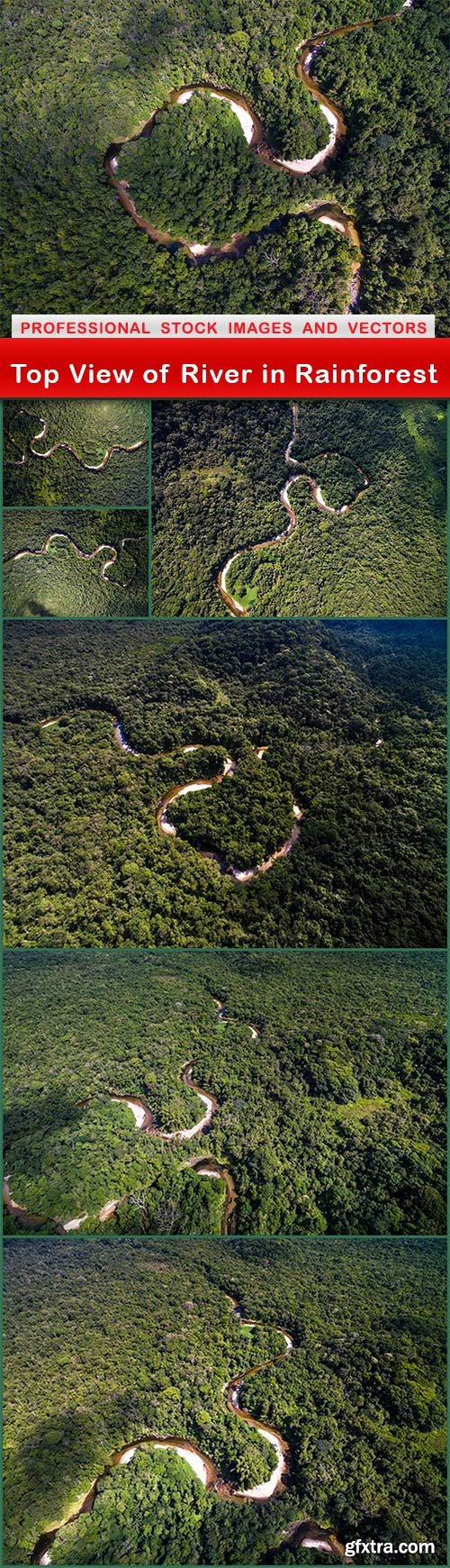Top View of River in Rainforest - 7 UHQ JPEG