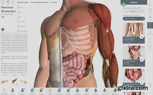Complete Anatomy v2.1.1 Full Version (Mac OS X)