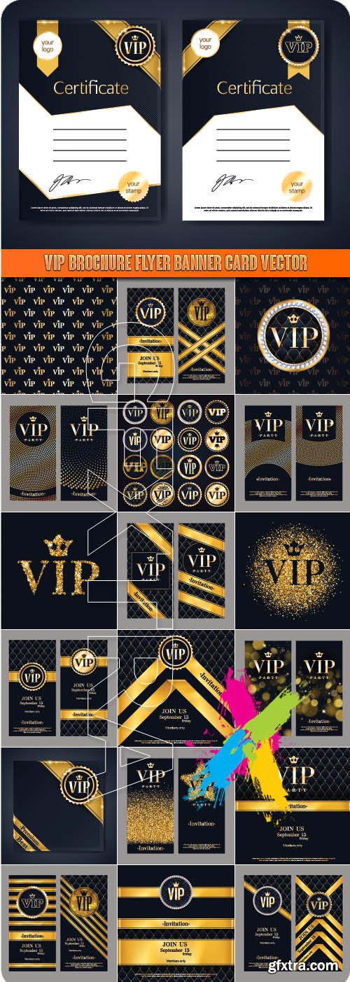VIP brochure flyer banner card vector