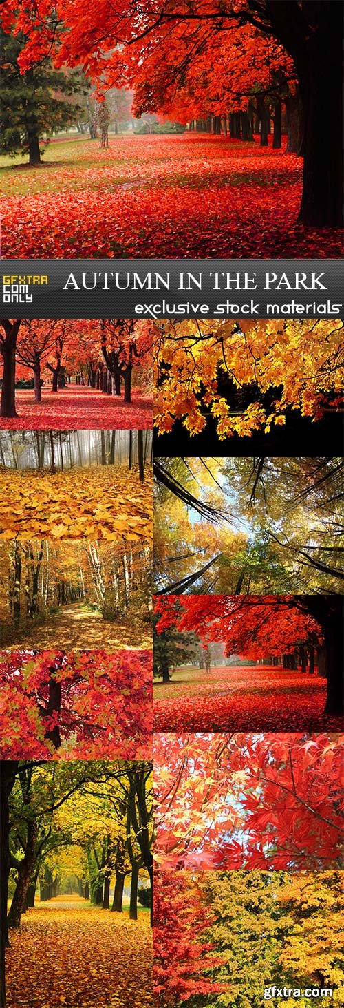 Autumn in the park, 10 x UHQ JPEG