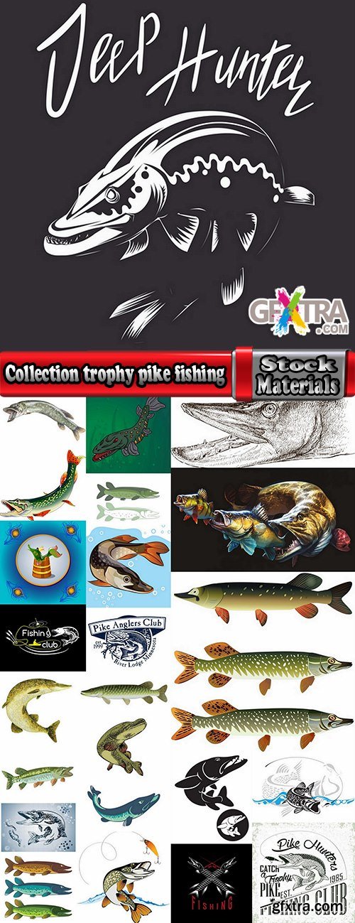 Collection trophy pike fishing mining vector image 25 EPS