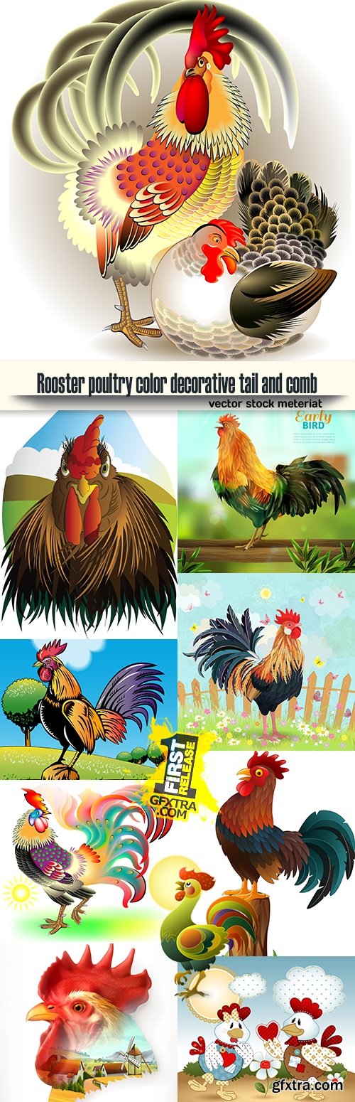 Rooster poultry color decorative tail and comb