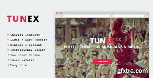 ThemeForest - TUNEX - Music & Entertainment PSD Template 9945096