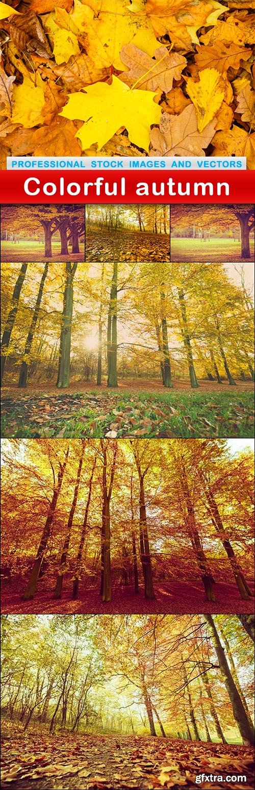 Colorful autumn - 7 UHQ JPEG