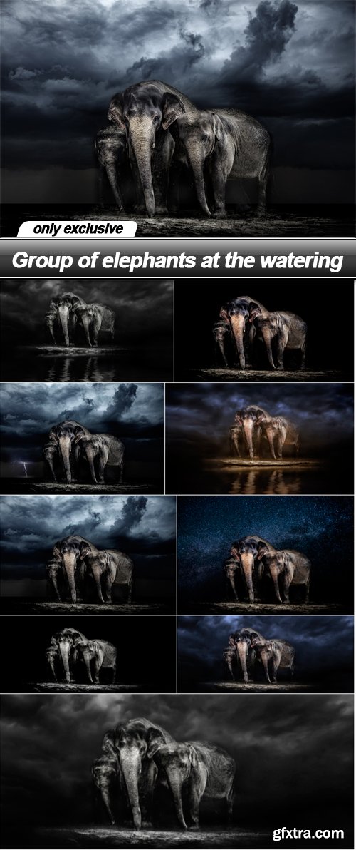 Group of elephants at the watering - 9 UHQ JPEG