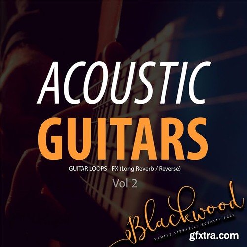 BLACKWOOD Samples Acoustic Guitars Vol 2 WAV-DISCOVER