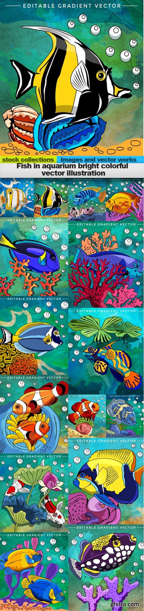 Fish in aquarium bright colorful vector illustration, 15 x EPS