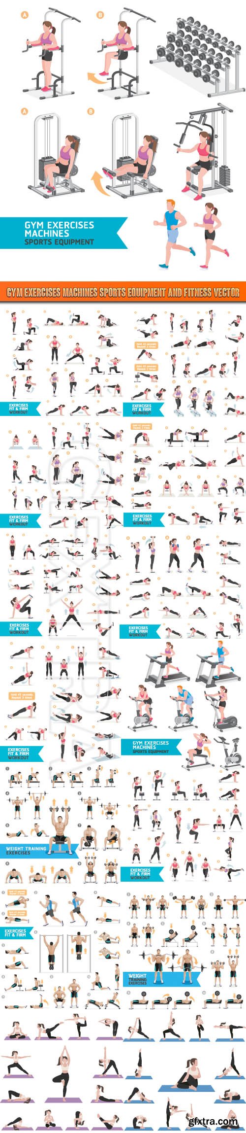 Gym exercises machines sports equipment and fitness vector
