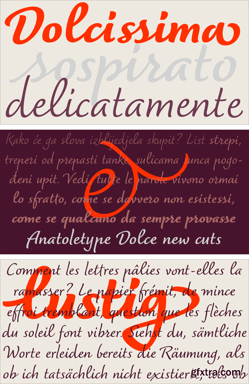 Dolce Font Family