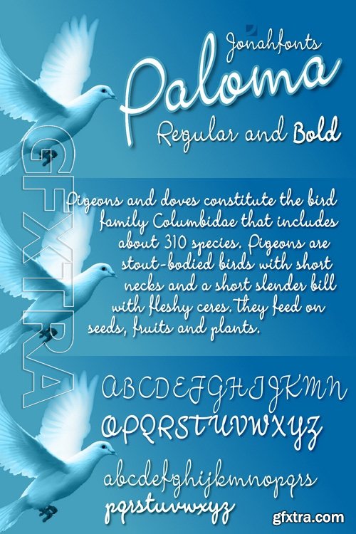 Paloma - Both fonts: $70.00