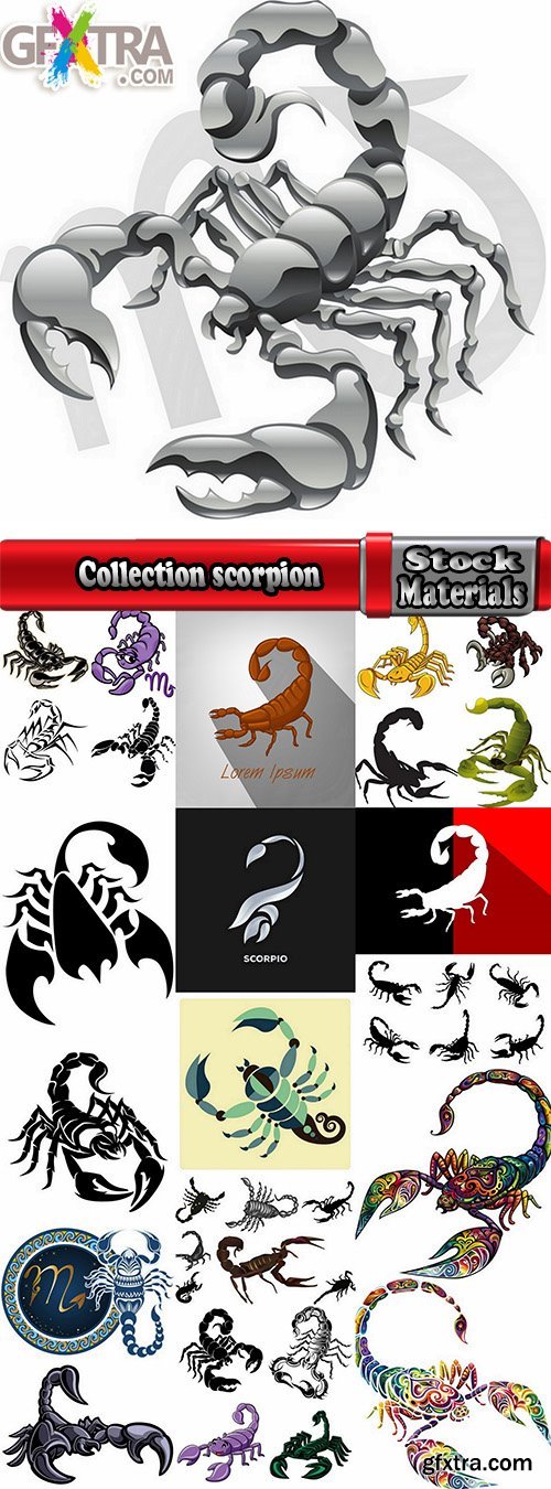 Collection scorpion sting venom arthropod chitin armor carapace vector image 25 EPS