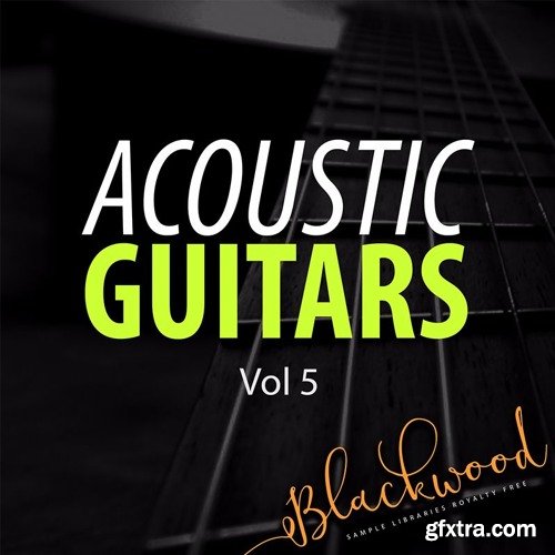 Blackwood Samples Acoustic Guitars 5 WAV-DISCOVER