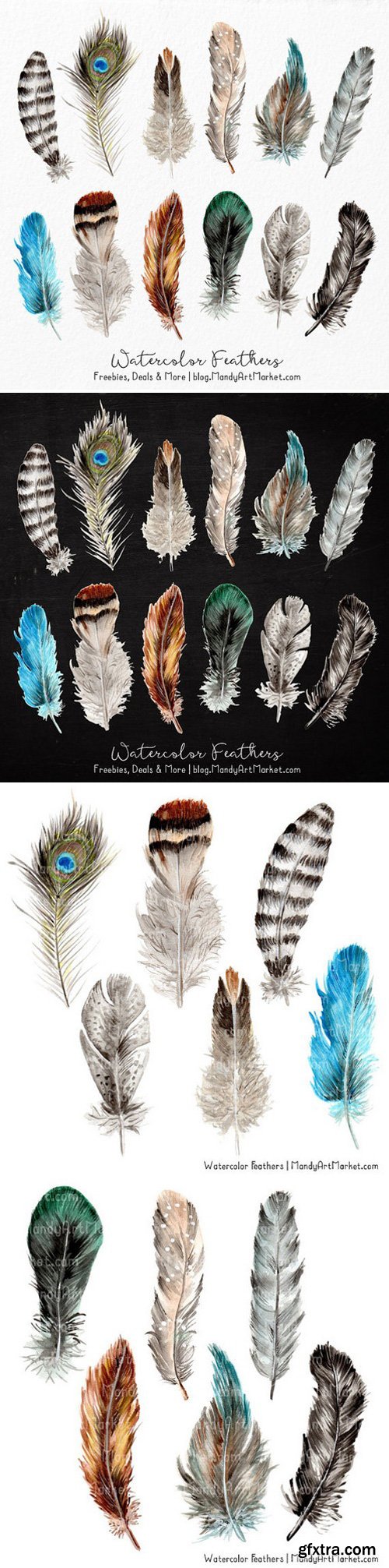 Natural Watercolor Feather Clipart