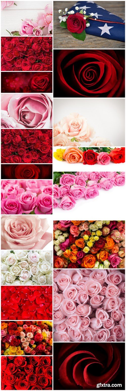 Beautiful Roses 3 - 20xUHQ JPEG Photo Stock
