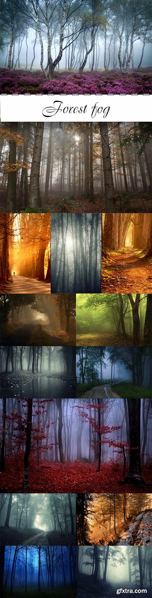 Forest fog raster graphics
