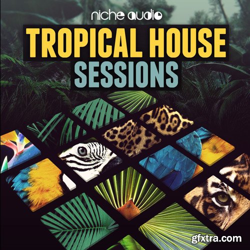Niche Audio Tropical House Sessions for Maschine 2-TZG