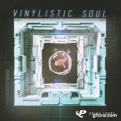 Prime Loops Vinylistic Soul MULTiFORMAT-TZG