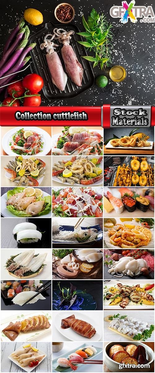 Collection cuttlefish tentacles delikotes sushi seafood dishes 25 HQ Jpeg
