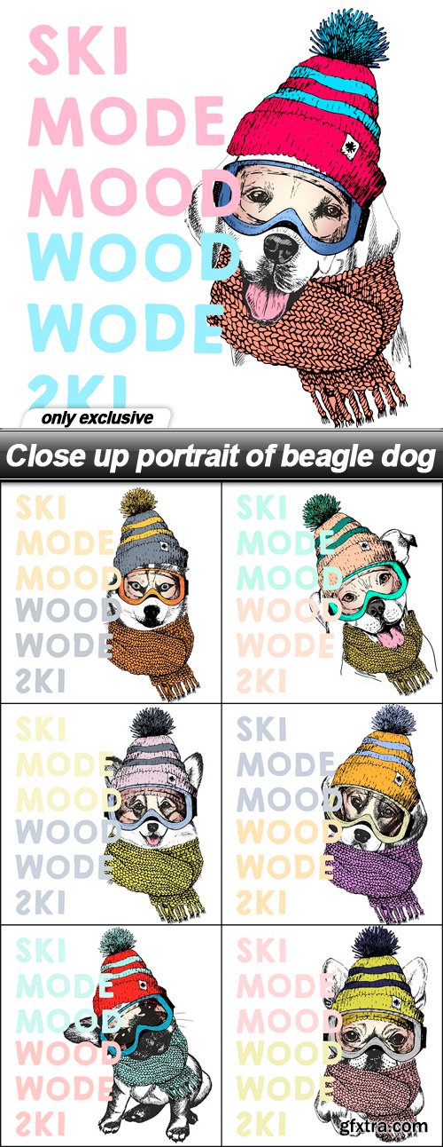 Close up portrait of beagle dog - 7 EPS