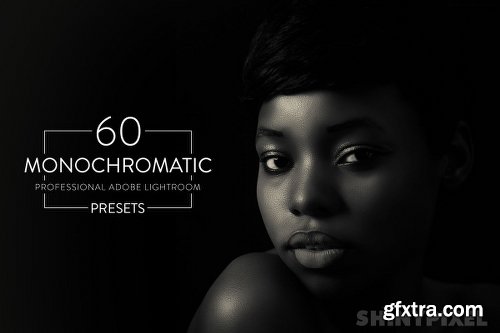 60 Monochromatic - Pro Lightroom Presets