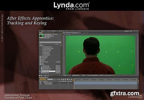 After Effects Apprentice 12: Tracking and Keying (updated Nov 10, 2016)