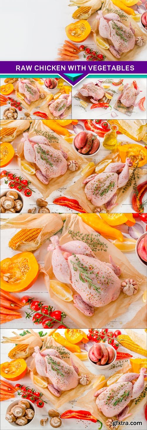 Raw chicken with vegetables 6X JPEG
