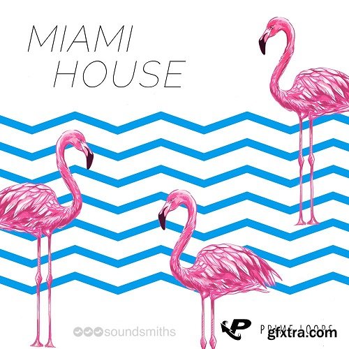 Prime Loops Miami House MULTiFORMAT-TZG