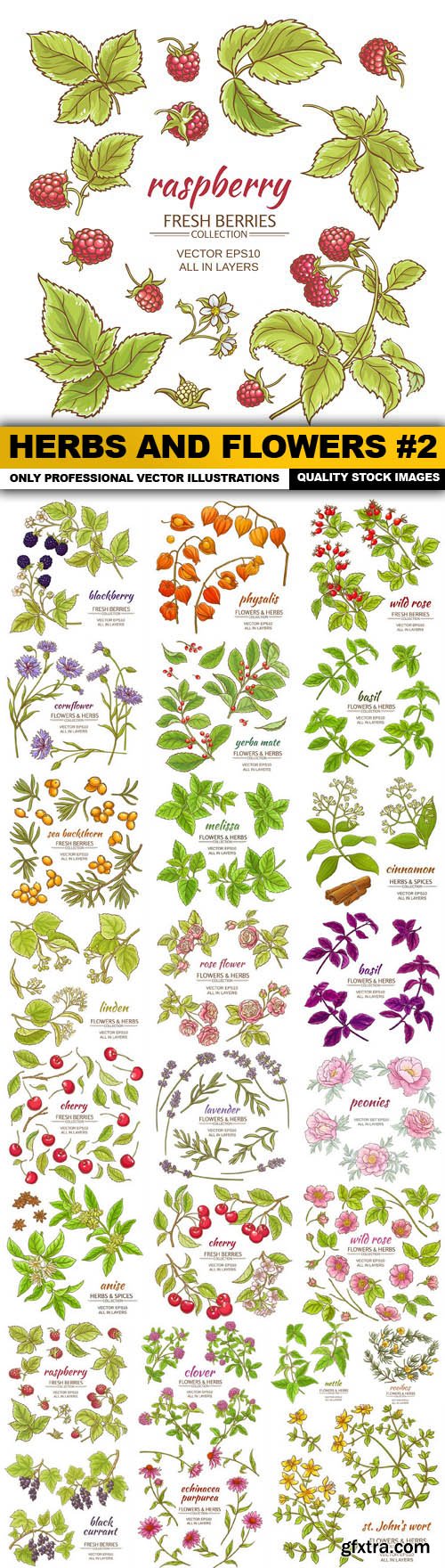 Herbs And Flowers #2 - 25 Vector