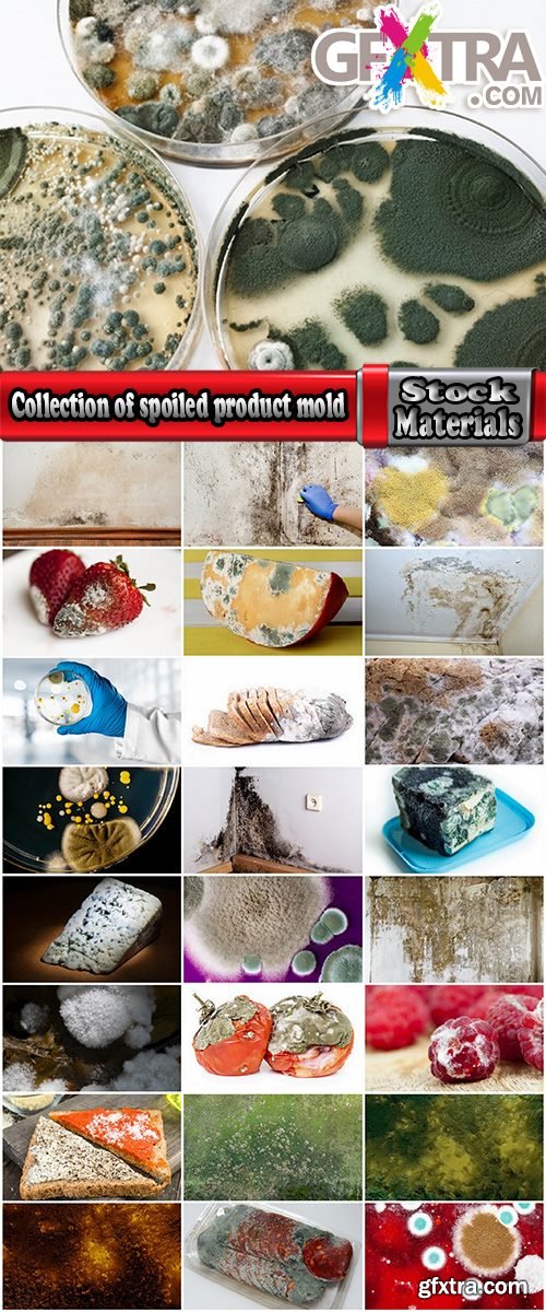 Collection of spoiled product mold fungus bacterium 25 HQ Jpeg