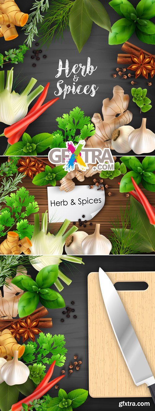 Herbs & Spices Vector