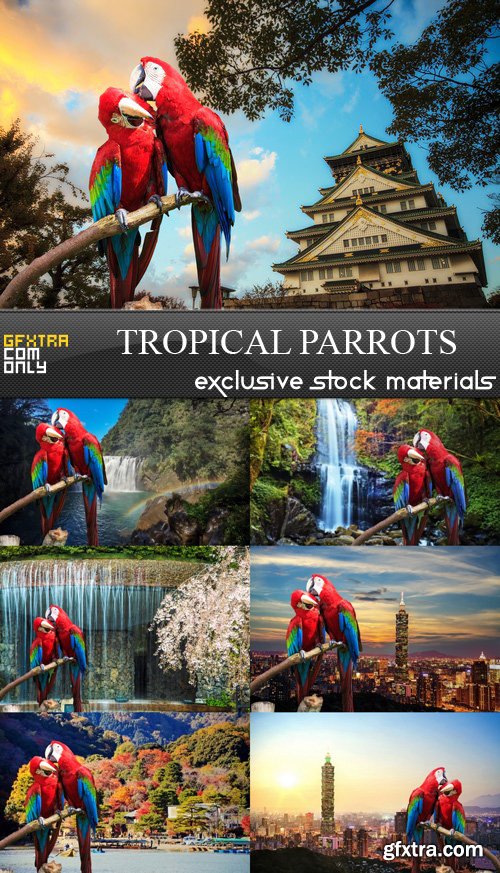 Tropical Parrots - 7 UHQ JPEG
