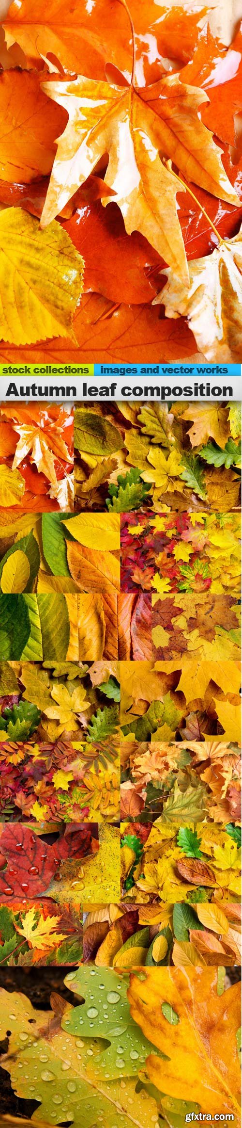 Autumn leaf composition, 15 x UHQ JPEG