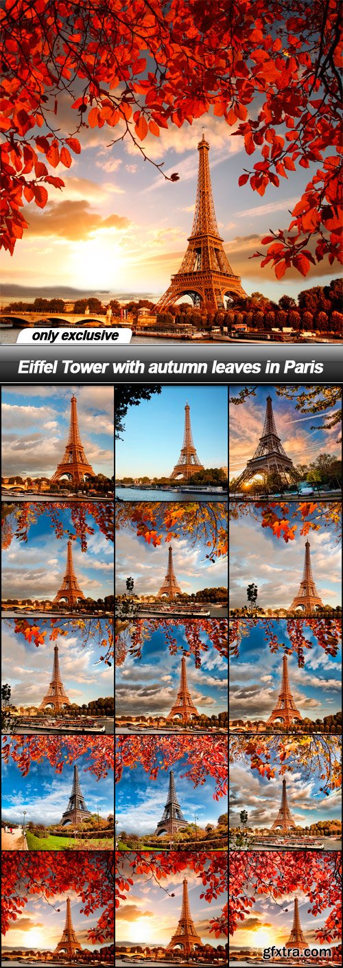 Eiffel Tower with autumn leaves in Paris - 15 UHQ JPEG