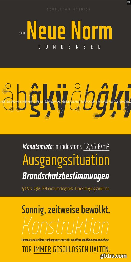 XXII Neue Norm Font Family $99