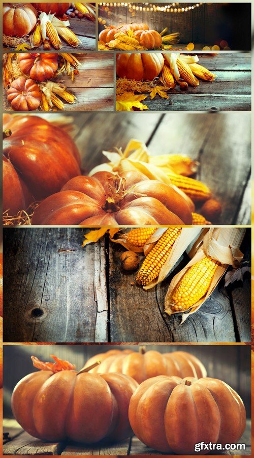Pumpkin and corn 7X JPEG