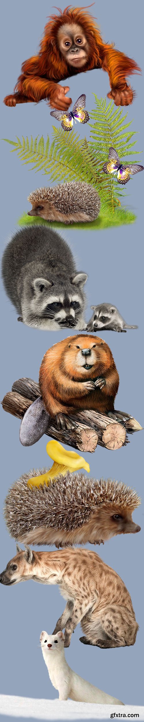 Various animals clipart on a transparent background