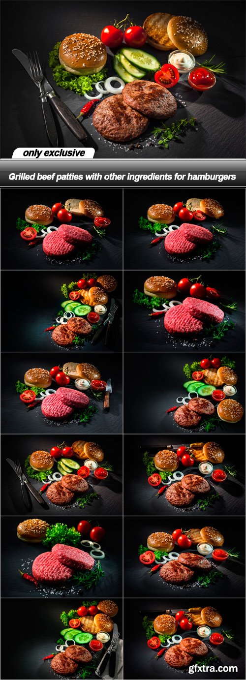 Grilled beef patties with other ingredients for hamburgers - 12 UHQ JPEG