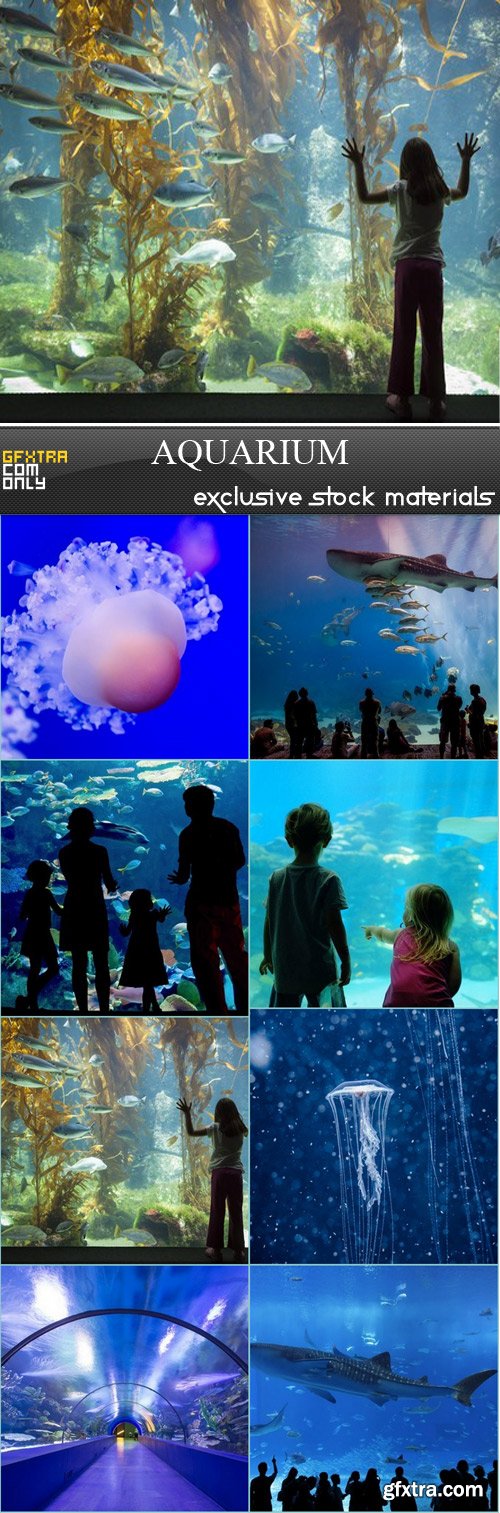 Aquarium - 8 JPEG