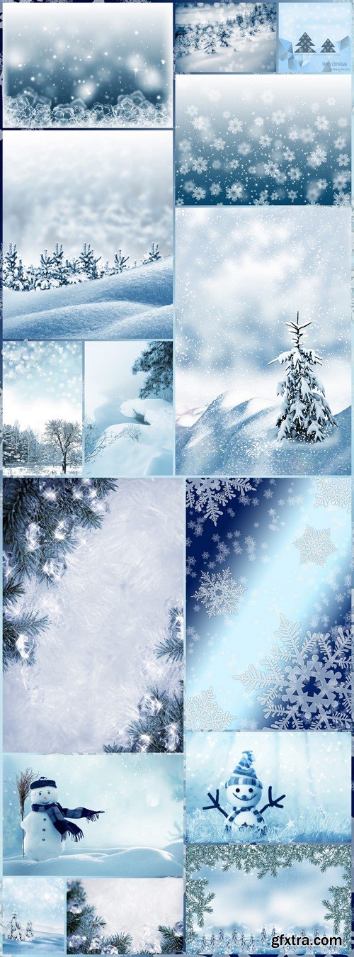 Winter forest landscape background 15X JPEG