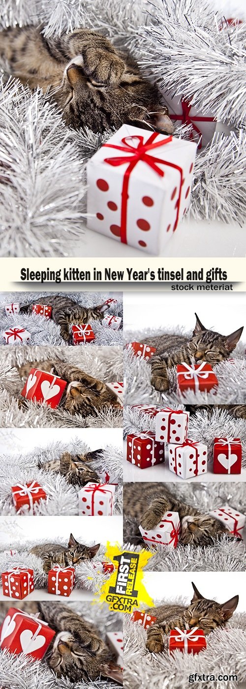 Sleeping kitten in New Year\'s tinsel and gifts
