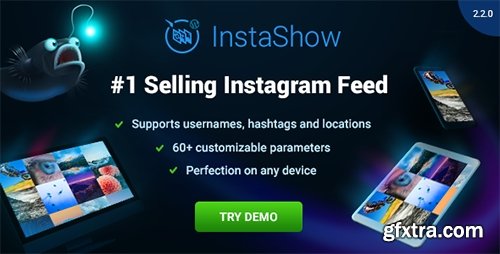 CodeCanyon - InstaShow v2.2.0 - Instagram Feed - WordPress Gallery for Instagram - 13004086