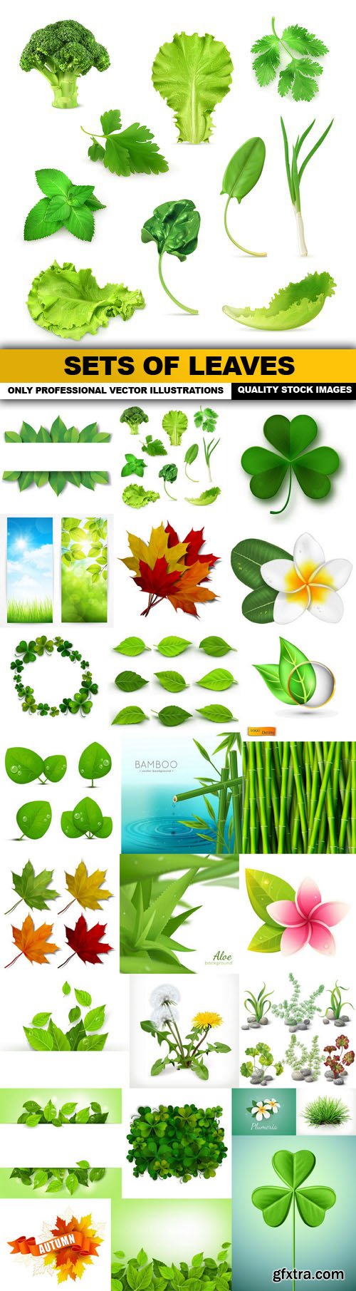 Sets Of Leaves - 25 Vector