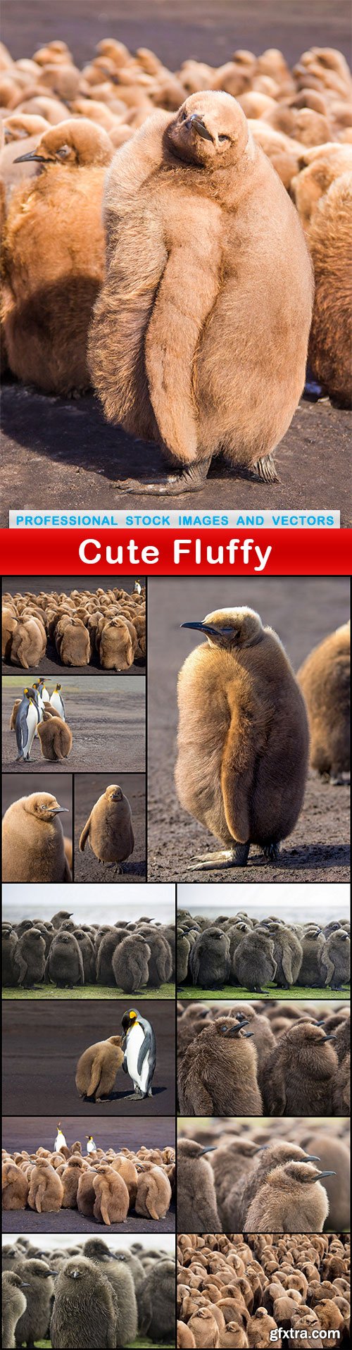 Cute Fluffy - 14 UHQ JPEG