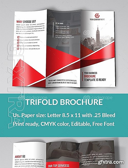Trifold Brochure 9909