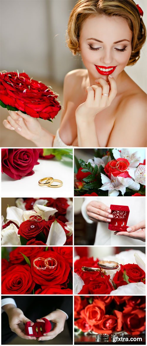 Wedding rings and beautiful roses