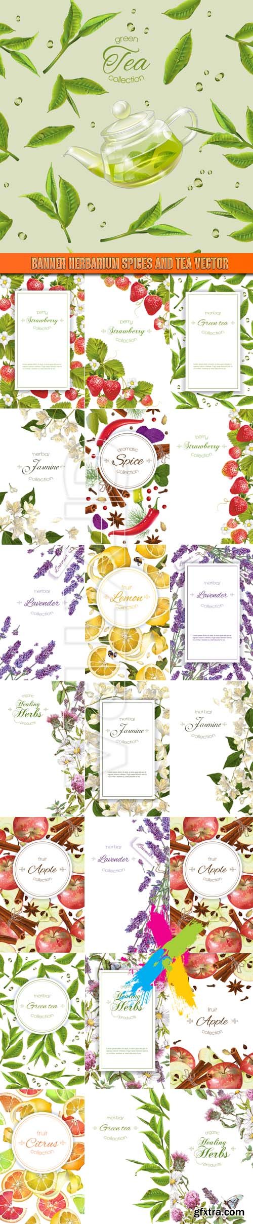 Banner herbarium spices and tea vector