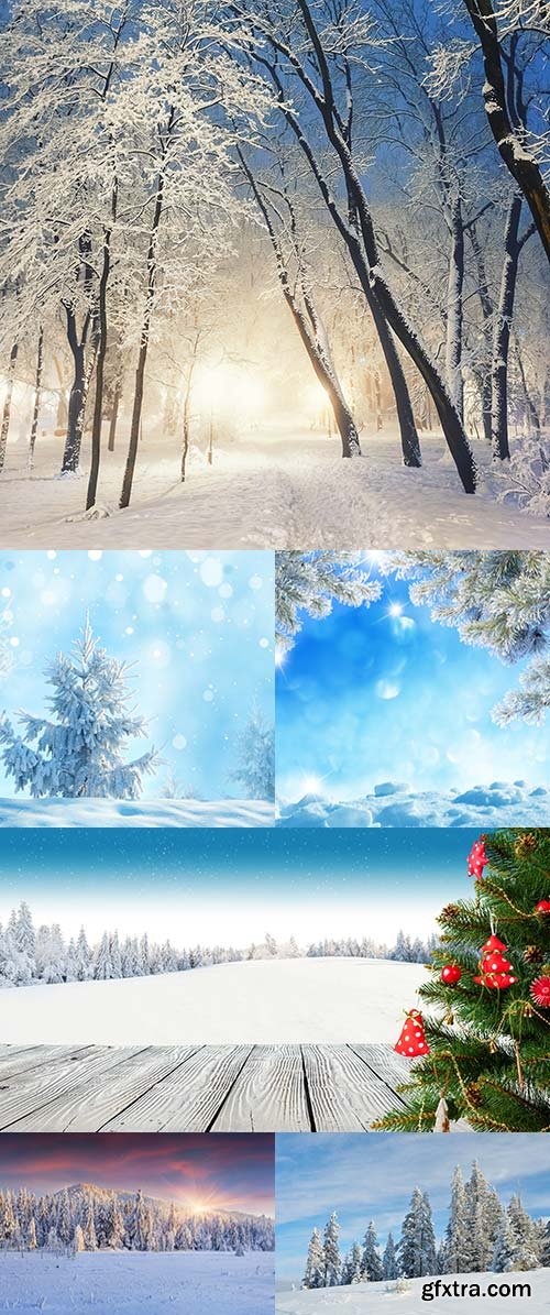 Winter Landscapes 2