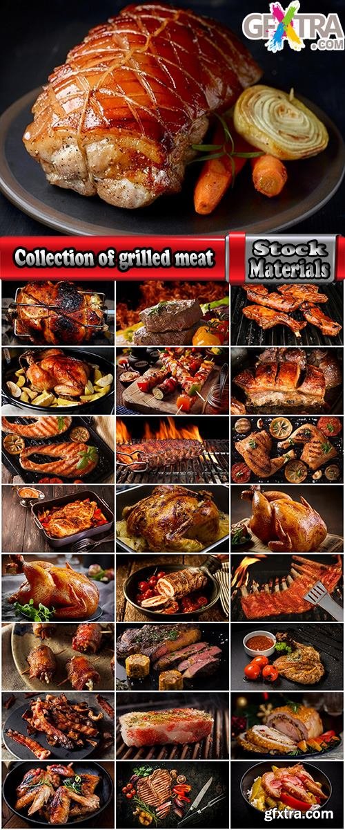 Collection of grilled meat grill chicken bacon barbecue fish 25 HQ Jpeg